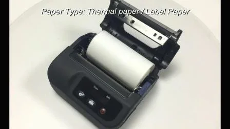 Multifunktionaler 80-mm/S-USB+BT-Handheld-Thermoetikettendrucker für biometrische Produkte, Textilversand (HCC-L31)